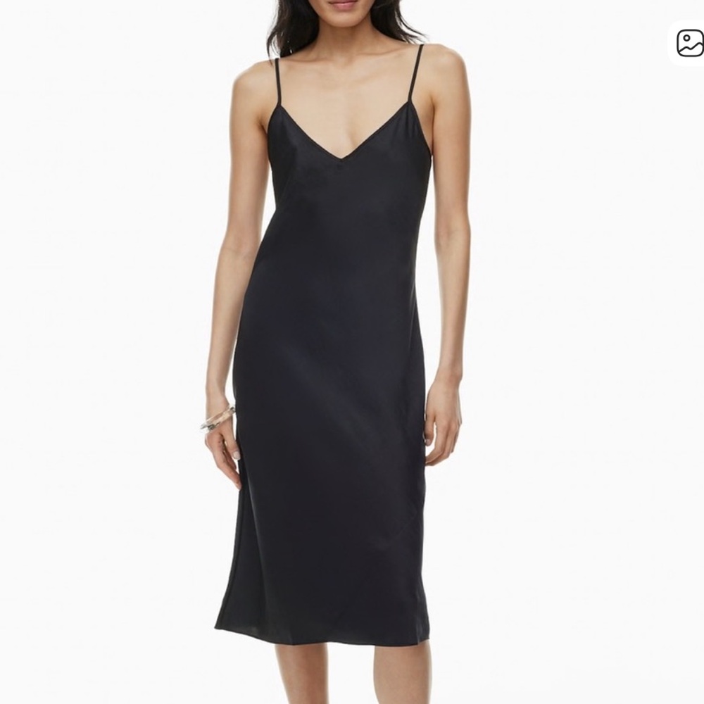 Aritzia Wilfred Slip Dress